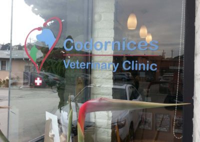 Codornices Veterinary Clinic Photo Gallery Image