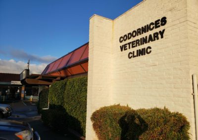 Codornices Veterinary Clinic Photo Gallery Image