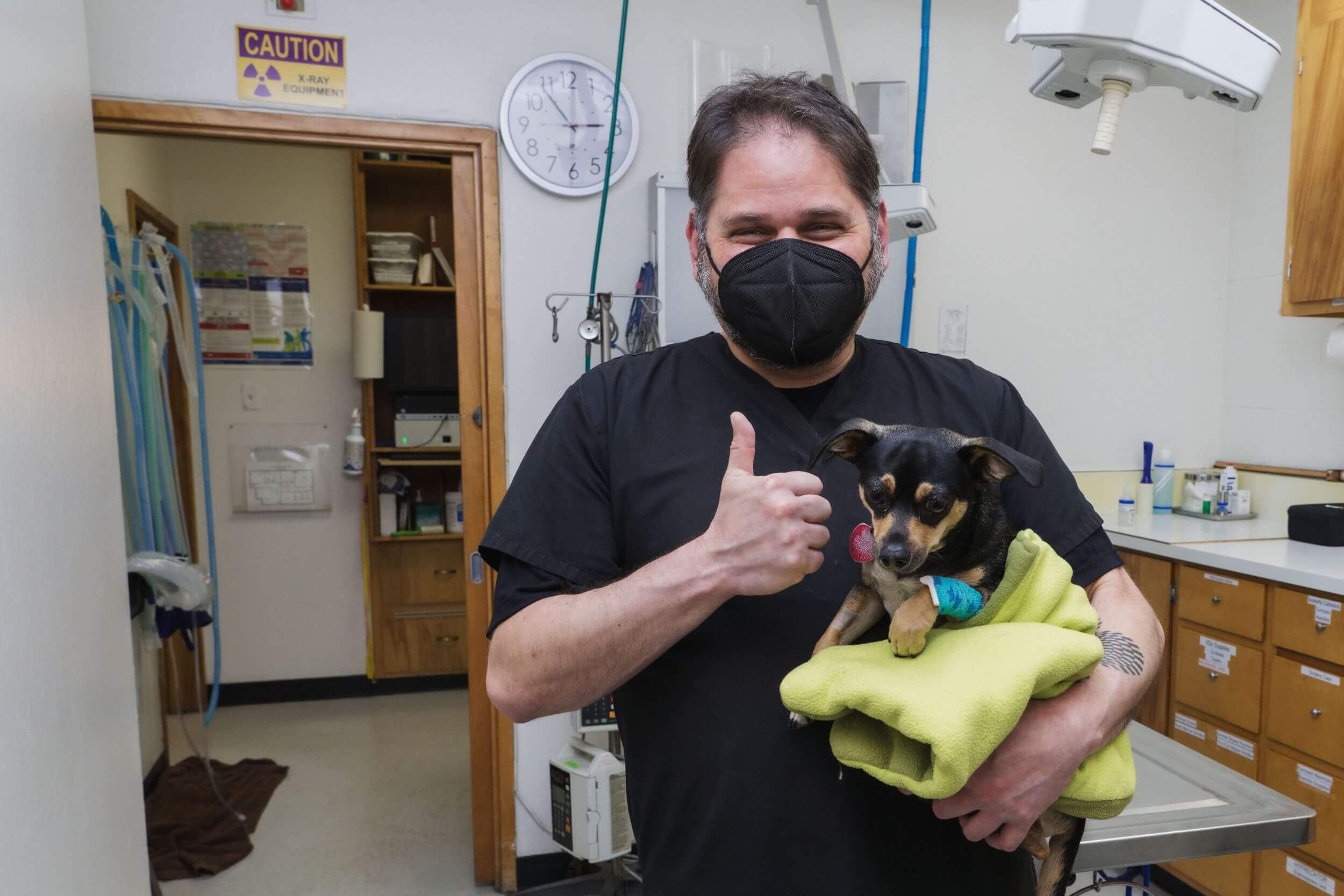 Albany, CA Urgent Pet Care - Codornices Veterinary Clinic