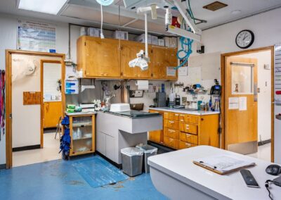A room in the hospital with medical equipment