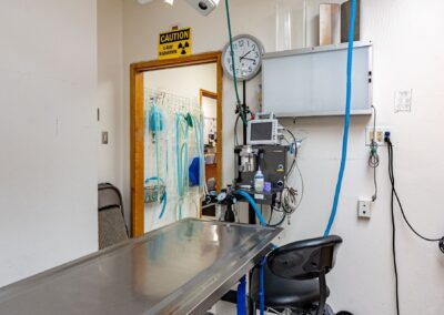 Codornices Veterinary Clinic room