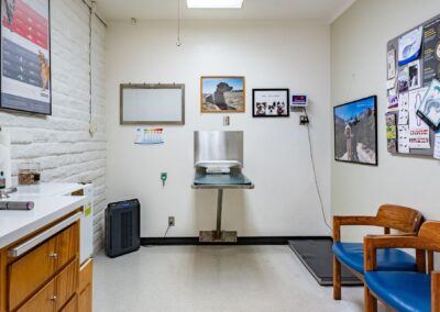 Codornices Veterinary Clinic examination room