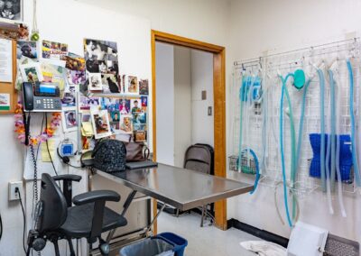 Hospital room with pet photos' pasted on wall